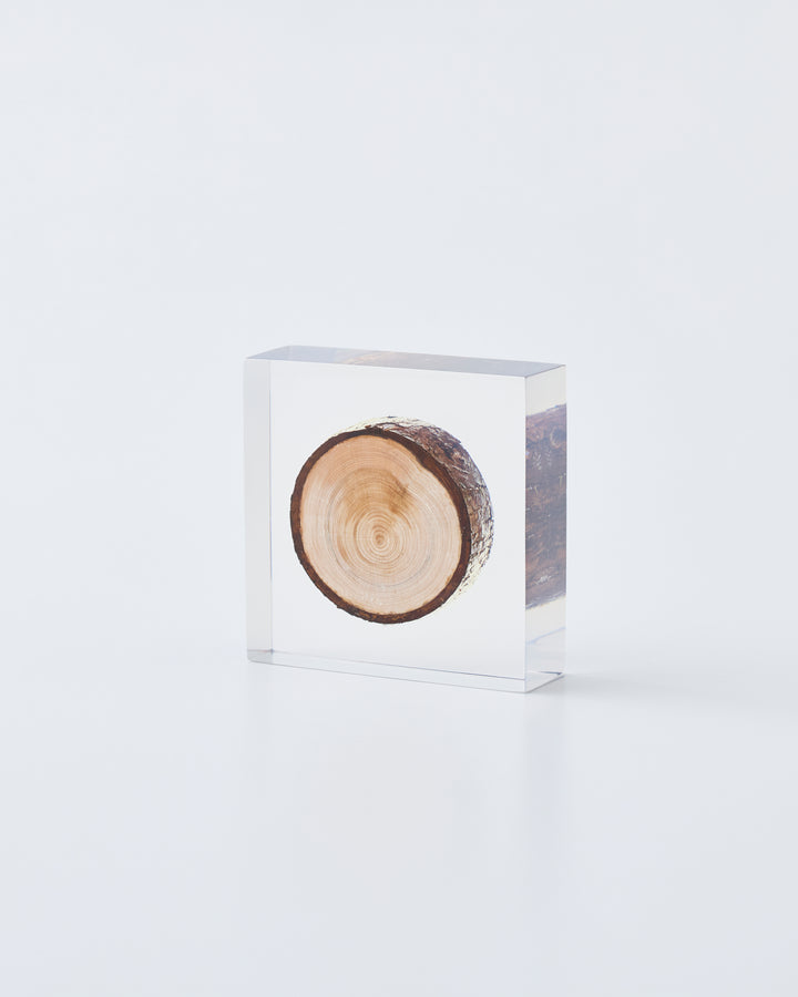 Enclosed branch object diffuser