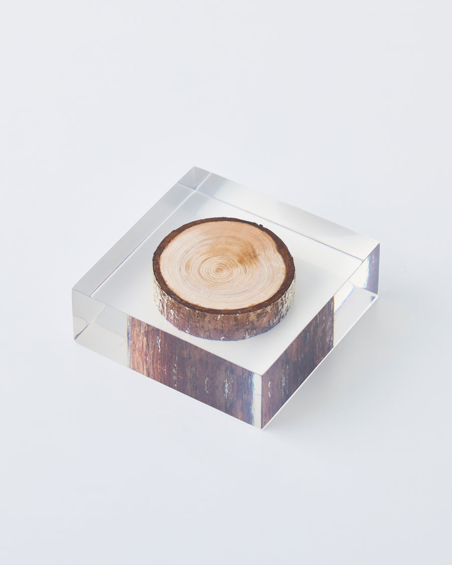 Enclosed branch object diffuser